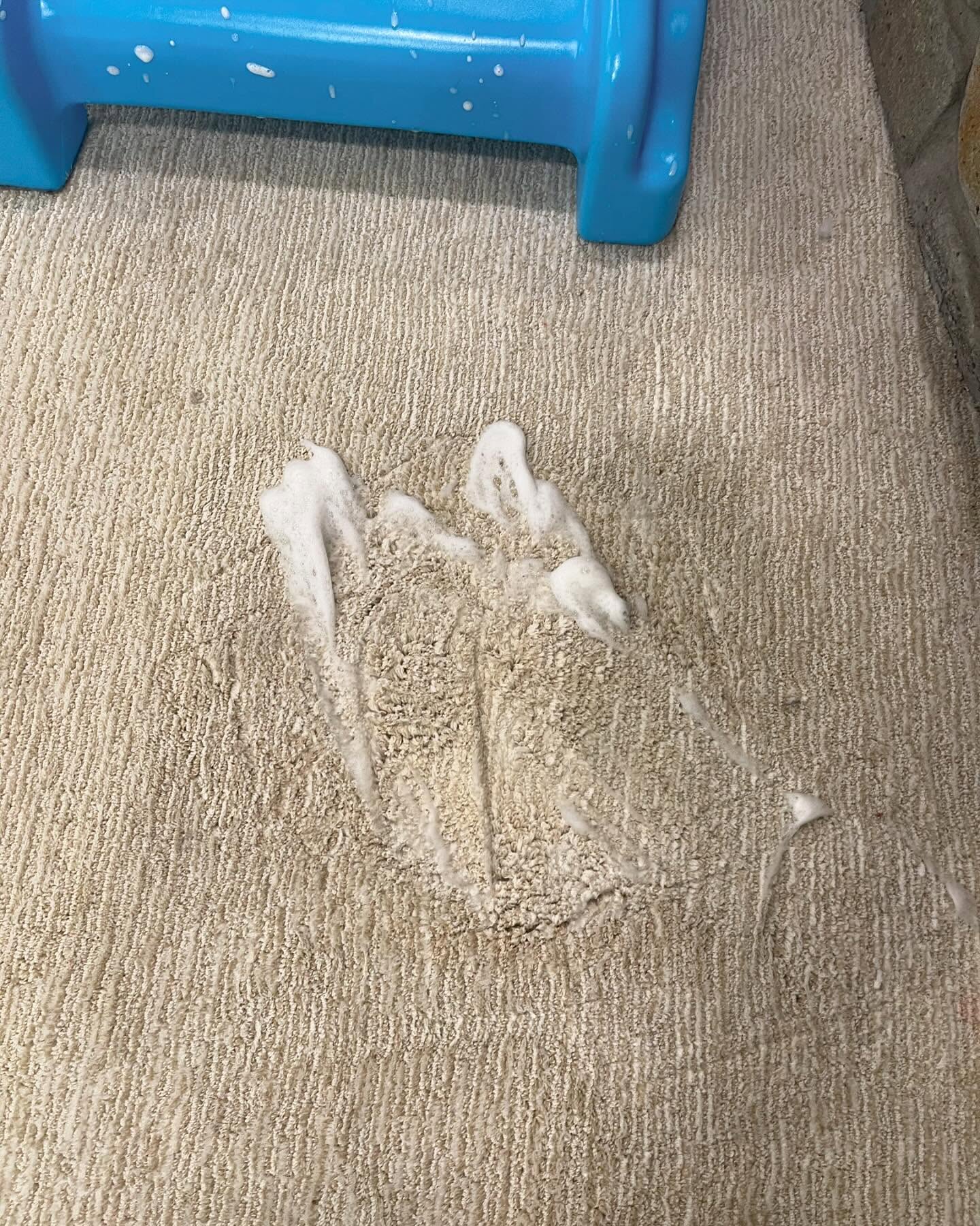 White cleaning foam worked into the stained area of the carpet