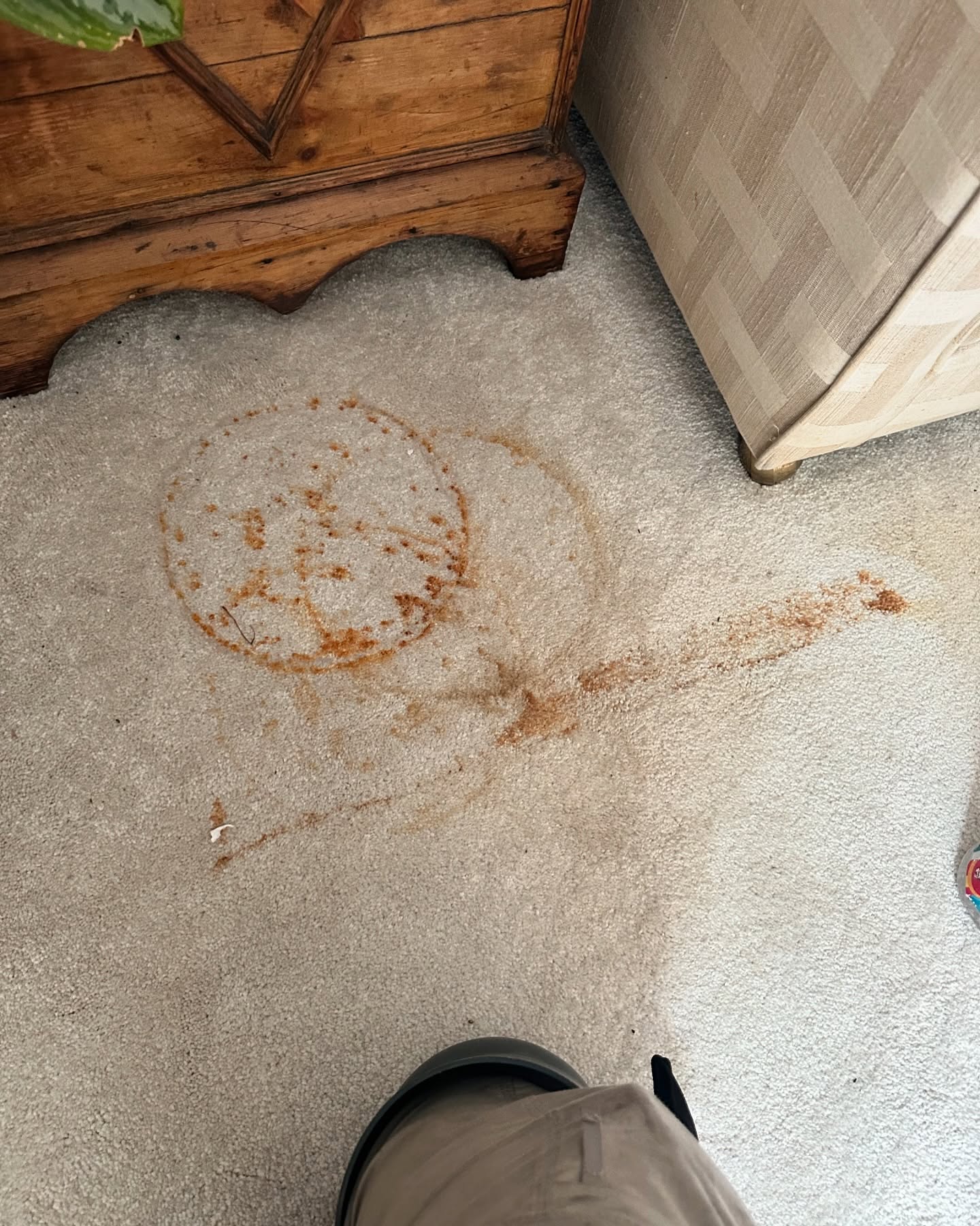 Orange rust ring and spatter trail on light beige bedroom carpet next to a wooden chest