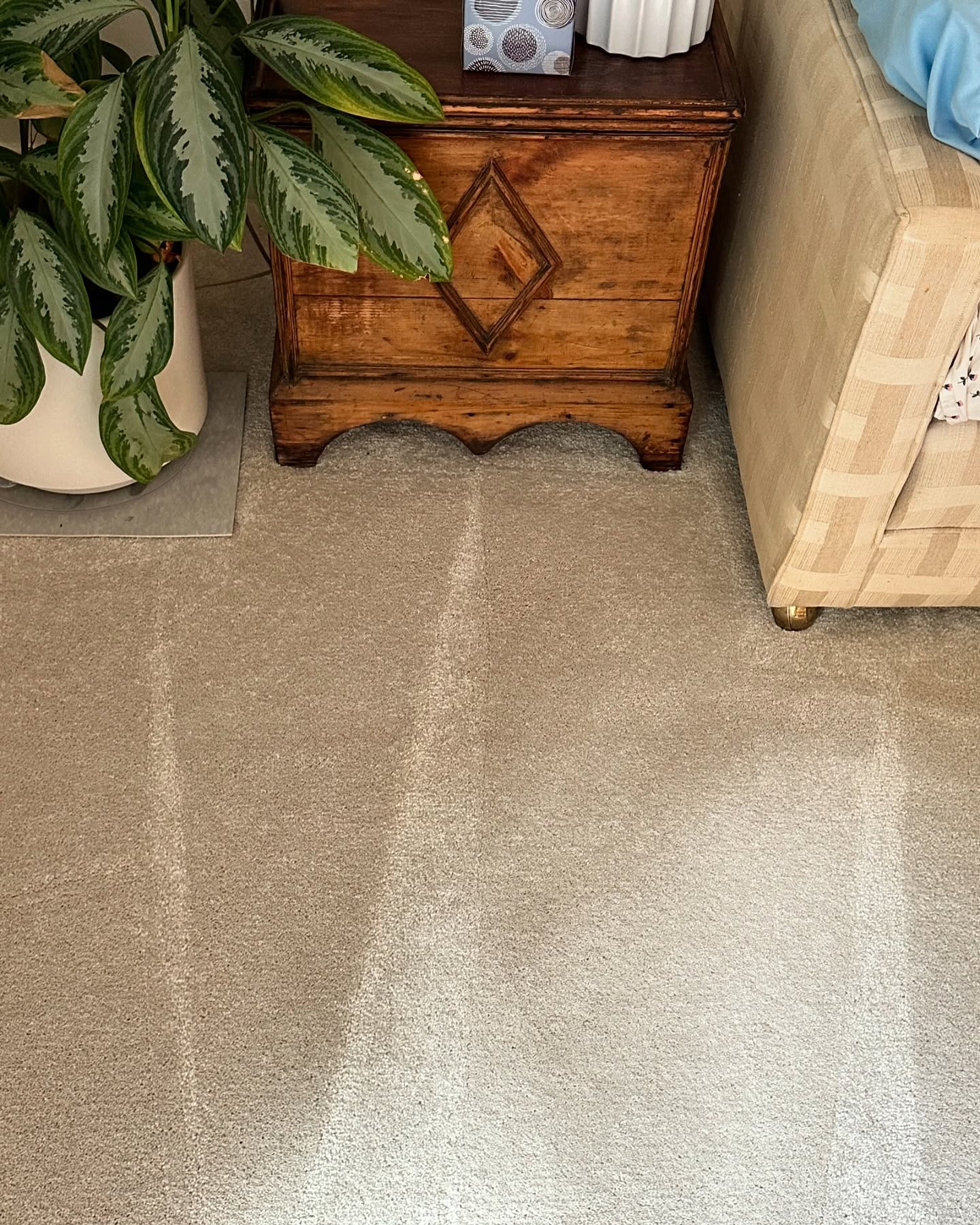 The same bedroom carpet after rust removal — clean beige pile with fresh groom lines