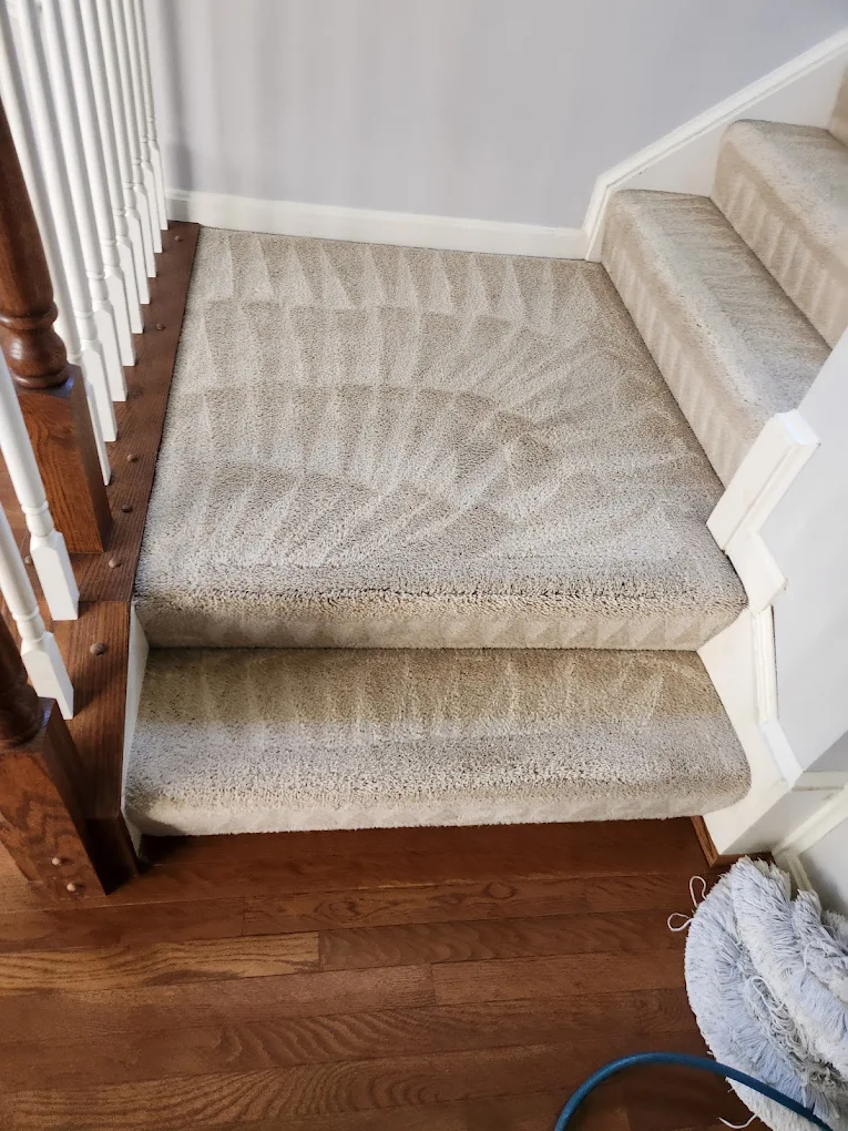 Freshly cleaned carpeted stairs with visible groom lines